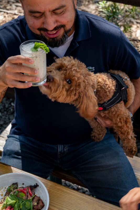 A man sitting at a table with a dog and a cocktail.